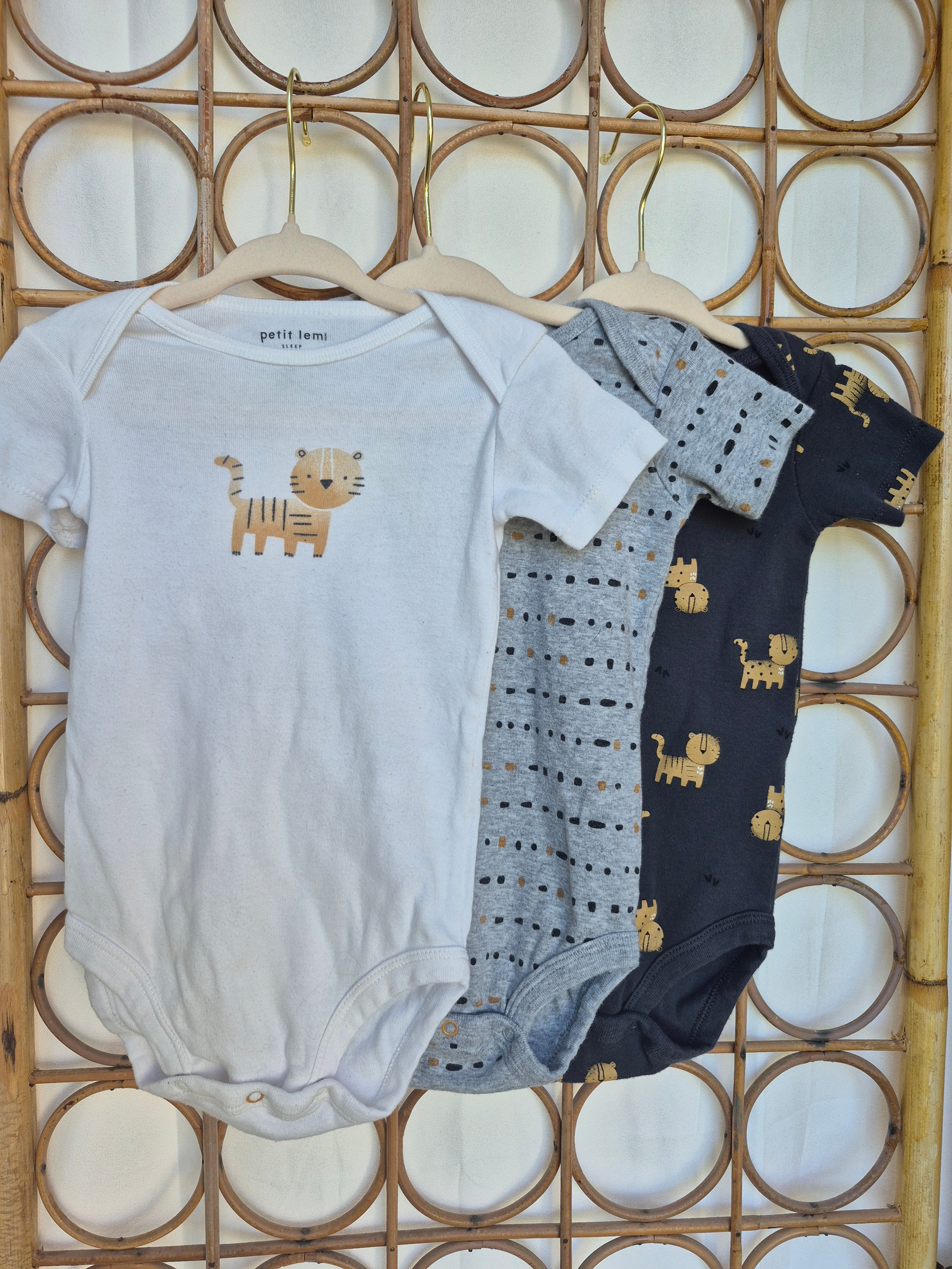 Lot - 18 mois