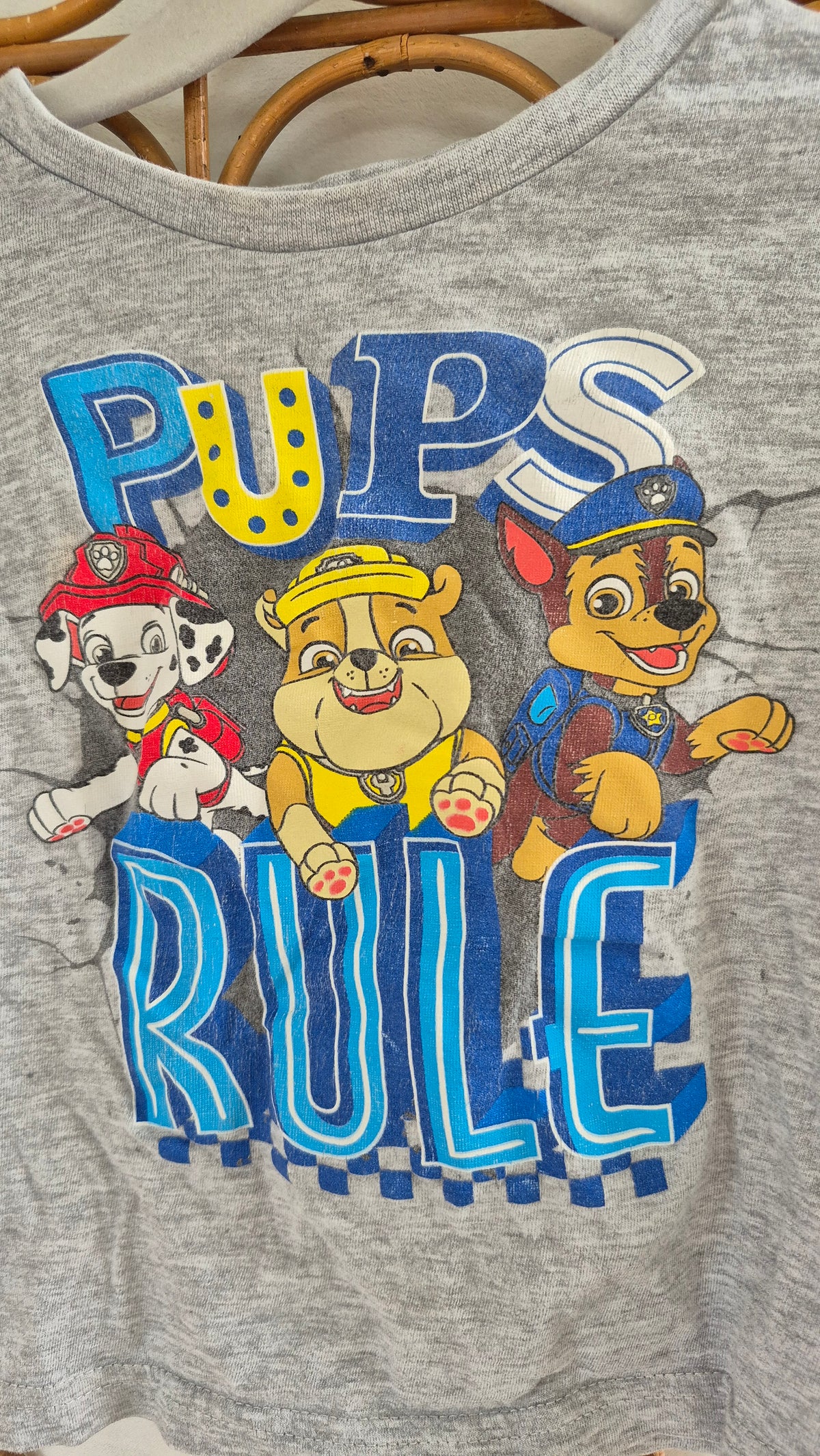 Paw patrol - t-shirt - 2T